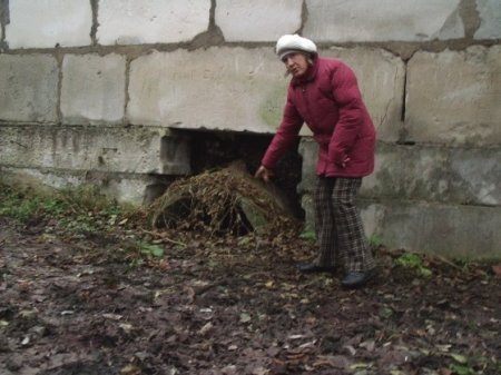 Народны дэпутат Яўген Самсонаў змагаецца за стан возера Алоізберг (відэа, фота)