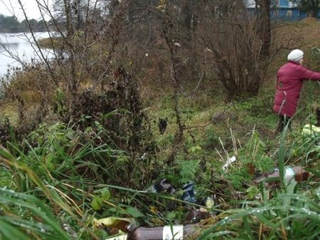 Народны дэпутат Яўген Самсонаў змагаецца за стан возера Алоізберг (відэа, фота)