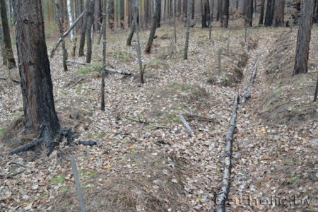 У Сыбіры ўшанавалі памяць айцоў Андрэя Цікоты і Адама Станкевіча (Фота)