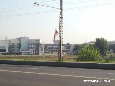 Актывісты моладзевага крыла БХД павіншавалі берасцейцаў з Днём незалежнасці (фота, відэа)