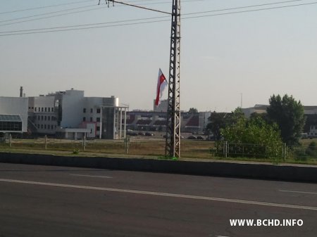 Актывісты моладзевага крыла БХД павіншавалі берасцейцаў з Днём незалежнасці (фота, відэа)