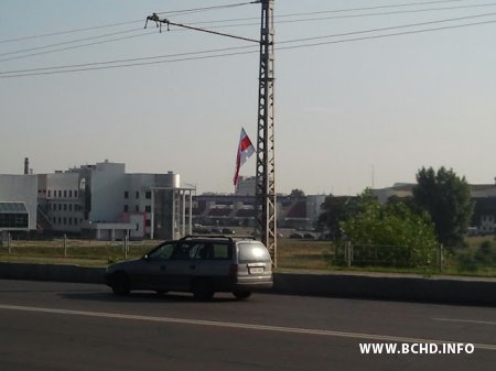 Актывісты моладзевага крыла БХД павіншавалі берасцейцаў з Днём незалежнасці (фота, відэа)