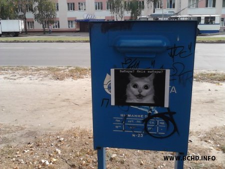 Актывісты МХД паказалі берасцейцам сутнасць "выбараў" (фота)