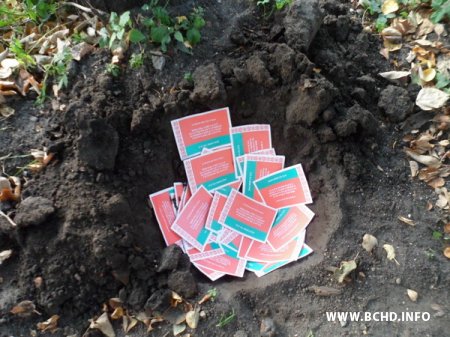 Маладыя Хрысціянскія Дэмакраты пахавалі несумленныя "выбары" (фота)