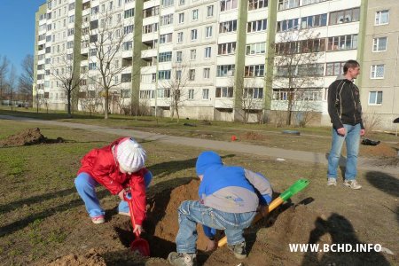 У Менску актывісты БХД пасадзілі каля сотні дрэваў (фота)