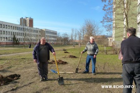 У Менску актывісты БХД пасадзілі каля сотні дрэваў (фота)