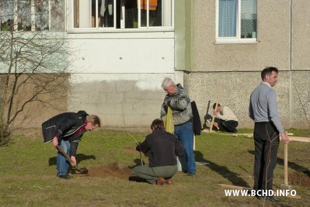 У Менску актывісты БХД пасадзілі каля сотні дрэваў (фота)