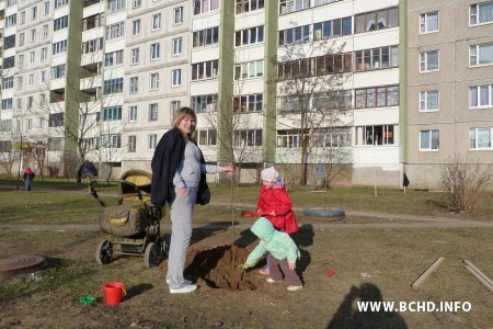 У Менску актывісты БХД пасадзілі каля сотні дрэваў (фота)