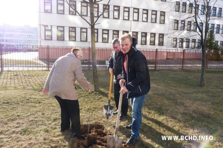 У Менску актывісты БХД пасадзілі каля сотні дрэваў (фота)