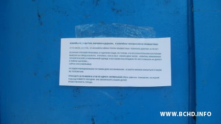 Бабруйскія актывісты заклікалі бабруйчанаў не быць абыякавымі да выкрадання Наталлі Шэлег (фота)