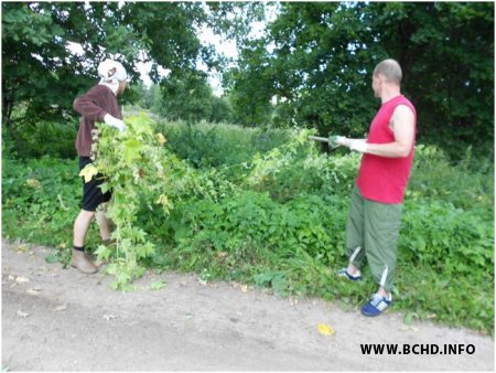 Менскія актывісты БХД працягваюць акцыі ў абароны прыроды (фота)