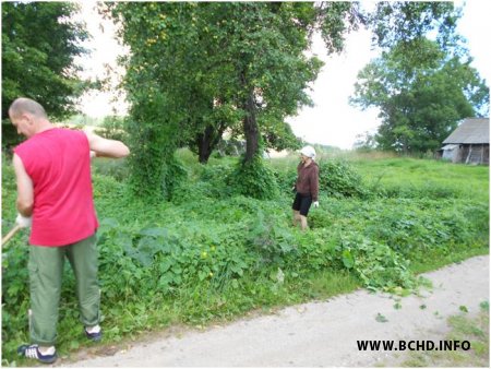 Менскія актывісты БХД працягваюць акцыі ў абароны прыроды (фота)