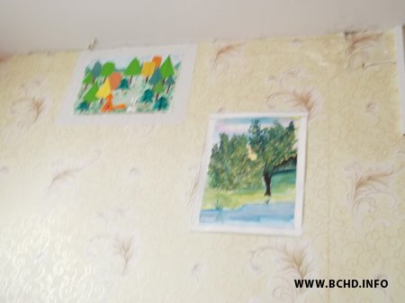 Скандал вакол школы ў Горацкім раёне набірае абароты (фота)