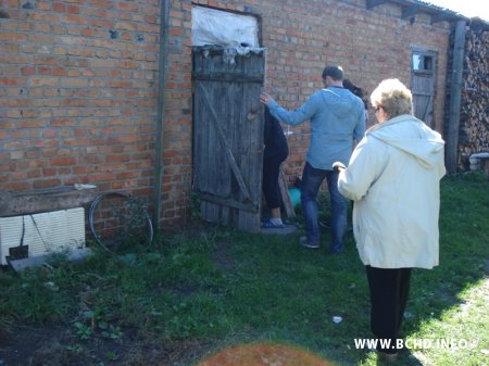 На Берасцейшчыне сяляне пратэстуюць супраць “прафілактычнага” знішчэння ўласных свінняў (Фота, Відэа)