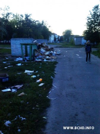 Народныя дэпутаты БХД на Бабруйшчыне змагаюцца за рамон вуліц (Фота)