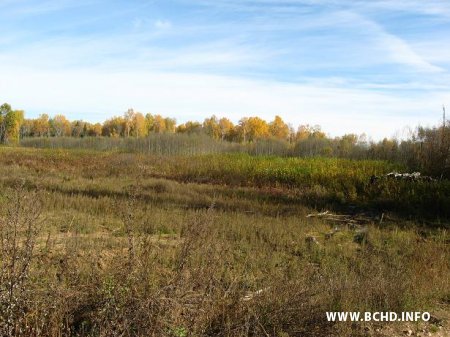 Абяцанкі-цацанкі: запланаваны на 2011 год смеццепераапрацоўчы камбінат нават не пачалі будаваць (фота)