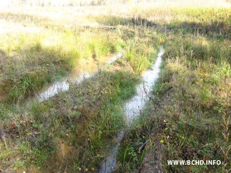 Абяцанкі-цацанкі: запланаваны на 2011 год смеццепераапрацоўчы камбінат нават не пачалі будаваць (фота)