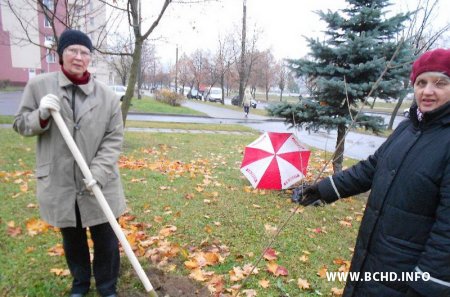 Актывісты БХД паднавілі алею ў Масюкоўшчыне (фота)