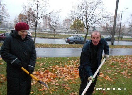 Актывісты БХД паднавілі алею ў Масюкоўшчыне (фота)