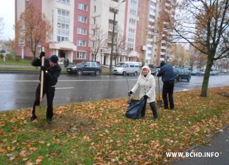 Актывісты БХД паднавілі алею ў Масюкоўшчыне (фота)
