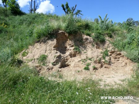 Змагара з будаўніцтвам дамоў на могілках у Валожыне збівалі і пагражалі "закатаць у асфальт" (фота)