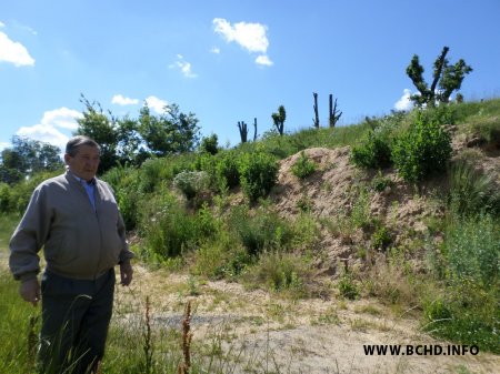 Змагара з будаўніцтвам дамоў на могілках у Валожыне збівалі і пагражалі "закатаць у асфальт" (фота)