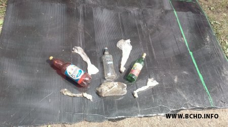 Актывісты БХД у якасці альэрнатывы 3 ліпеня правялі талаку ў Курапатах (фота, відэа)
