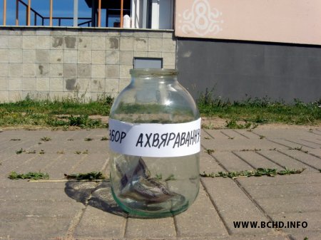 У Віцебску збіралі сродкі для мясцовых уладаў (фота)