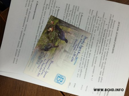 Праўкі ў сямейнае заканадаўства выпрацуюць цягам месяца (фота)