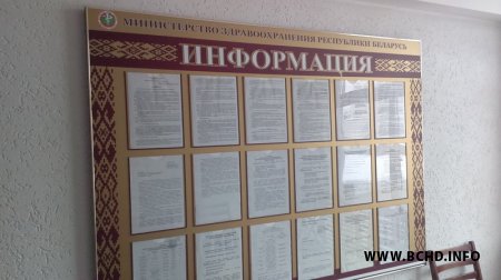 Актывісты «Народнага кантролю» перадалі подпісы «За якасную медыцыну» ў Мінску (фота)