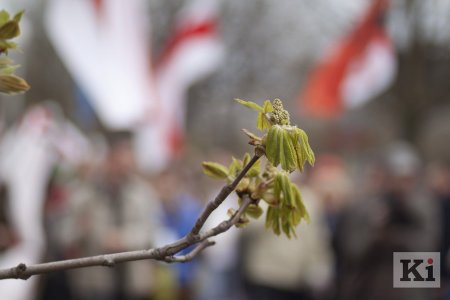 БХД узяла ўдзел у Чарнобыльскім шляху (фота)