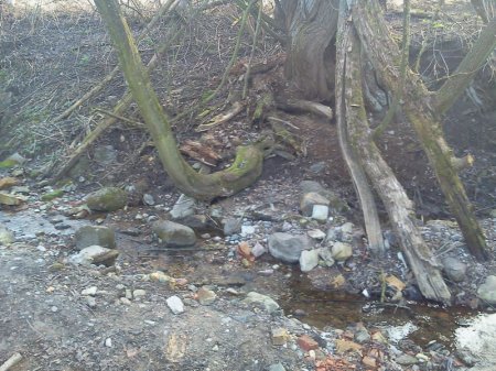 Жыхары вуліцы Салы ў Гародні надалей застаюцца без камунікацый (фота)