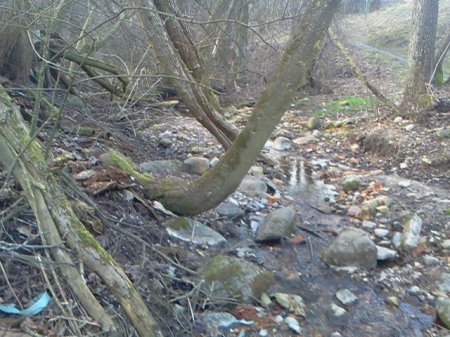 Жыхары вуліцы Салы ў Гародні надалей застаюцца без камунікацый (фота)