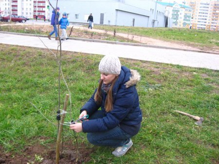 У Віцебску пасадзілі дрэвы ў памяць Алеся Чаркашына і Міхася Жызнеўскага (фота)
