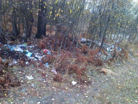 Сябры БХД ратуюць вёскі ад несанкцыянаваных сметнікаў (фота)