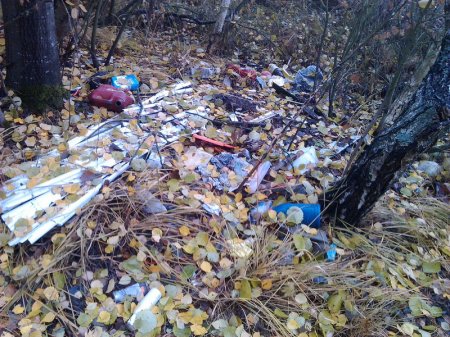 Сябры БХД ратуюць вёскі ад несанкцыянаваных сметнікаў (фота)