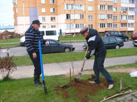У Віцебску пасадзілі дрэвы ў памяць Алеся Чаркашына і Міхася Жызнеўскага (фота)