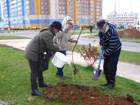 У Віцебску пасадзілі дрэвы ў памяць Алеся Чаркашына і Міхася Жызнеўскага (фота)