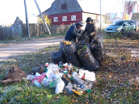 Дзяды в Витебске: активисты БХД навели порядок на заброшенном кладбище (фото)