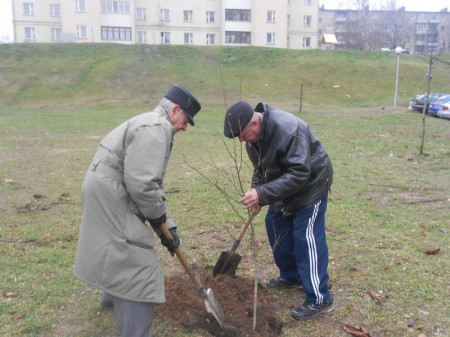 На месцы незаконнай будоўлі будуць расці дрэвы (фота)