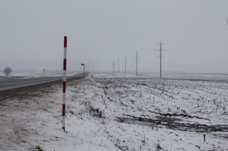 Пад Салігорскам вырубілі дрэвы ўздоўж дарог (фота)