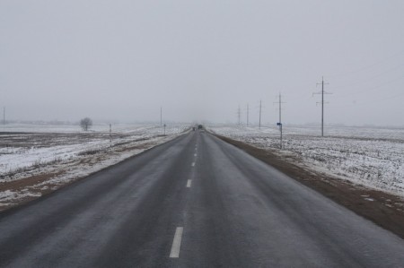 Пад Салігорскам вырубілі дрэвы ўздоўж дарог (фота)