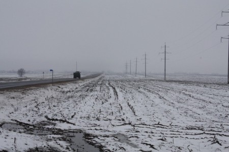 Пад Салігорскам вырубілі дрэвы ўздоўж дарог (фота)