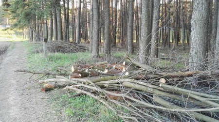 Сябры БХД правялі сумесную талаку ў Курапатах (фота)