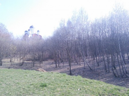 Марына Хоміч: дэпутаты павінны адказваць за свае абяцанні (фота)