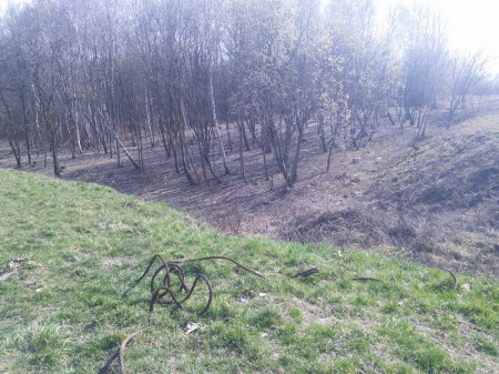 Марына Хоміч: дэпутаты павінны адказваць за свае абяцанні (фота)