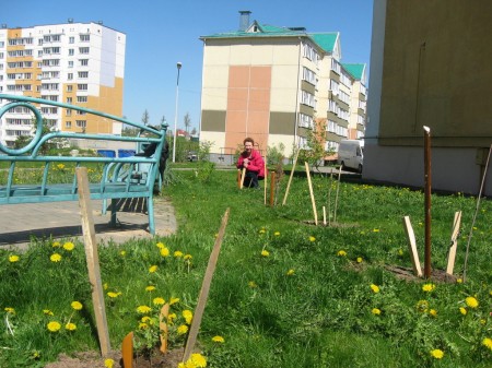 У Віцебску пашырылі алею Герояў Нябеснай Сотні (фота)