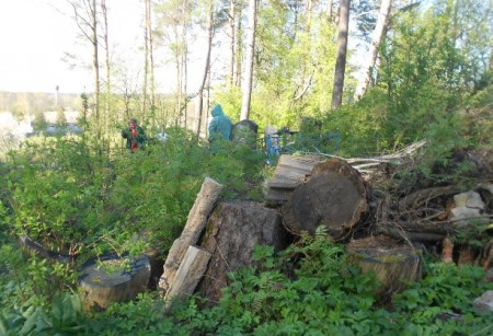 Сябры БХД і валанцёры прыбралі закінутыя могілкі ахвяраў фашызму на Лагойшчыне (фота)