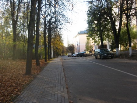 В Витебске приостановили строительство на месте парка (фото)