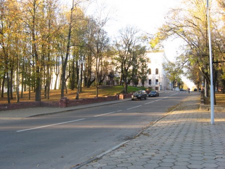 В Витебске приостановили строительство на месте парка (фото)